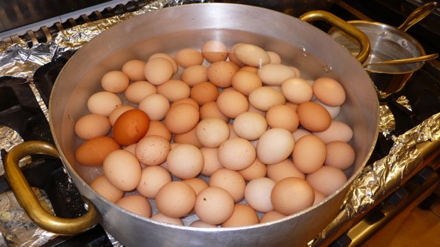 Pasqua 2014