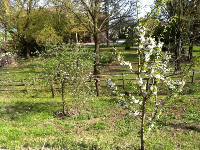21 aprile